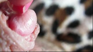 Big Clit Erection. Extreme close up on my wet clit head pulsating