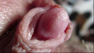 Big Clit Erection. Extreme close up on my wet clit head pulsating