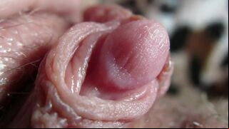 Big Clit Erection. Extreme close up on my wet clit head pulsating