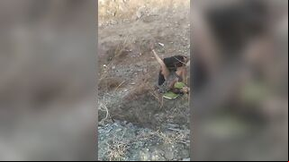 Indian XXX Porn. Voluptuous Desi aunty fucked outdoors by young boy